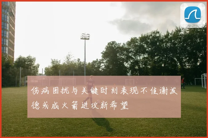 伤病困扰与关键时刻表现不佳谢泼德或成火箭进攻新希望